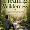 the_healing_wilderness_wrap_print_ready_Kindle The Healing Wilderness: Proven Secrets of Nature Therapy - Texas Birder Press